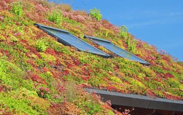 Hinton Charterhouse living roof systems